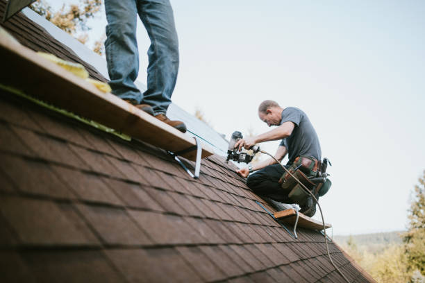 Professional Roofing Contractor in Woodlake, VA